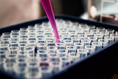 How Skin Therapy Transforms Skin Repair Processes